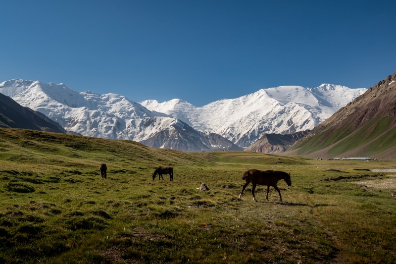 Pik Lenin Expedition